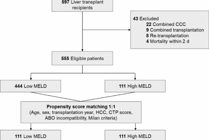 Immunoglobulin G dynamics and outcomes of hypogammaglobulinemia in liver transplant recipients