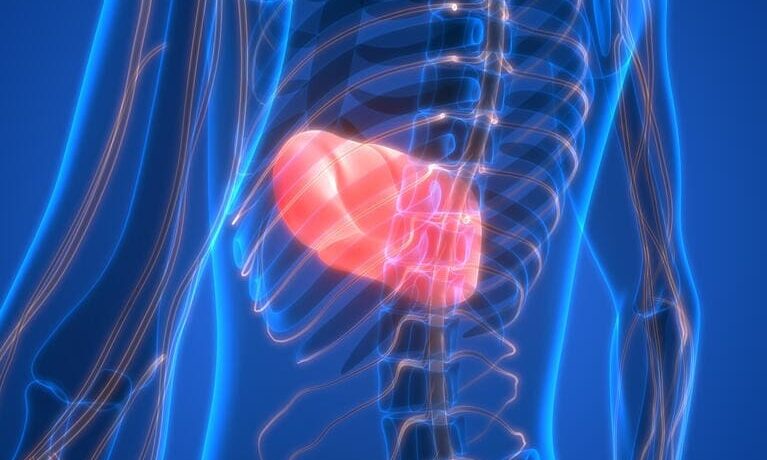 6 signs your patient is ready for liver transplant referral